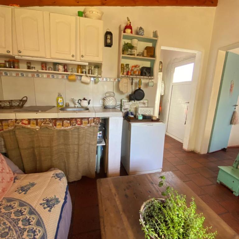 Margaritas - Apartamento de 1 dormitorio - 7