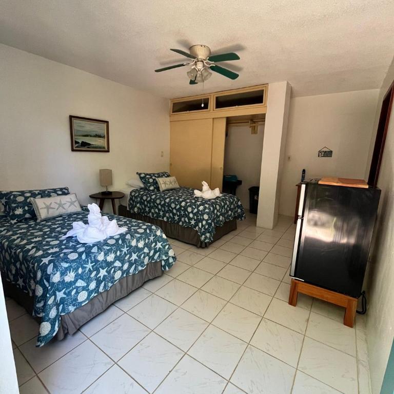 Kasa Mar - Double Room with Garden View - 7