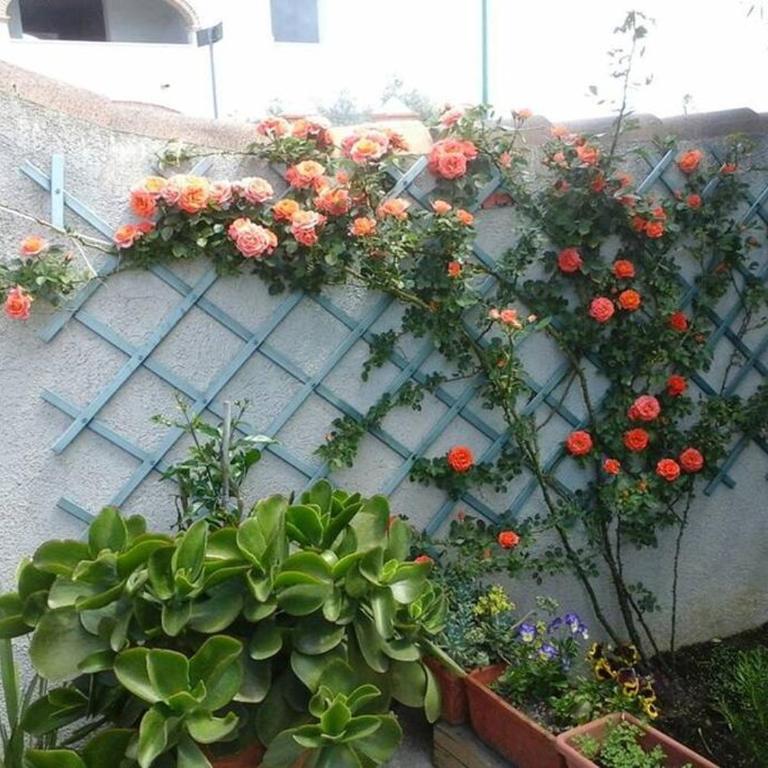 Gollai House - Appartamento con 2 Camere da Letto - 6