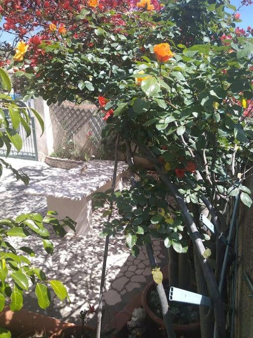 Gollai House - Appartamento con 2 Camere da Letto - 7