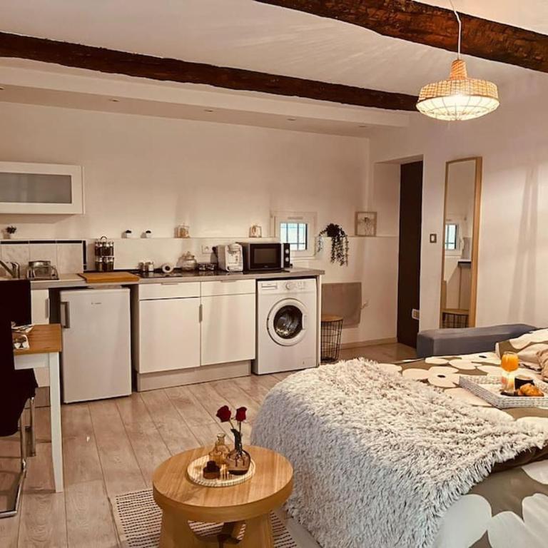Studio Oasis de paix centre Aix en Provence - Apartment mit 1 Schlafzimmer - 5