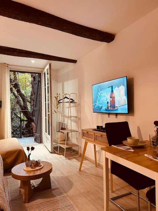 Studio Oasis de paix centre Aix en Provence - Apartment mit 1 Schlafzimmer - 18
