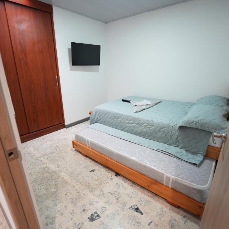 Loxodonta - Habitación Doble - 1 o 2 camas - 16