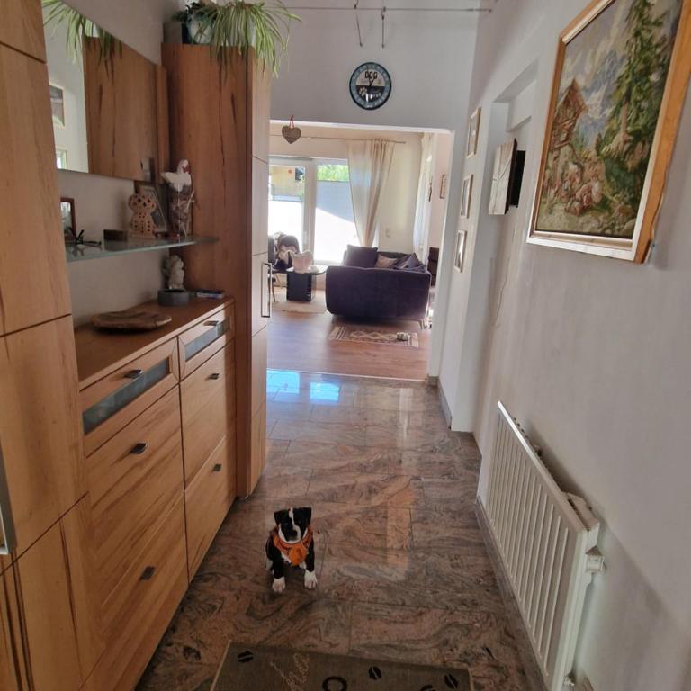 Chalet Fini - Haus mit 2 Schlafzimmern - 13