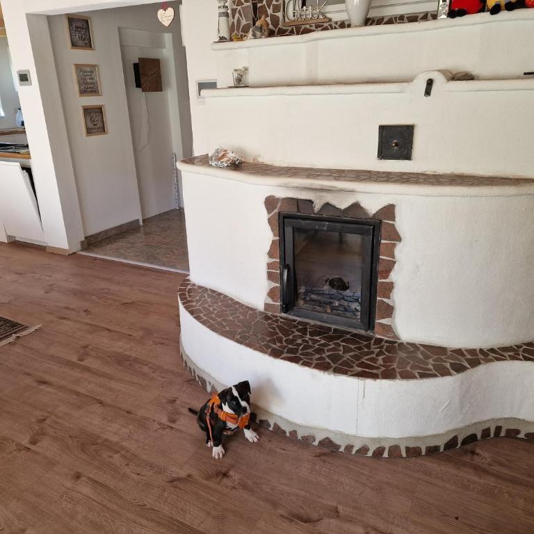 Chalet Fini - Haus mit 2 Schlafzimmern - 16