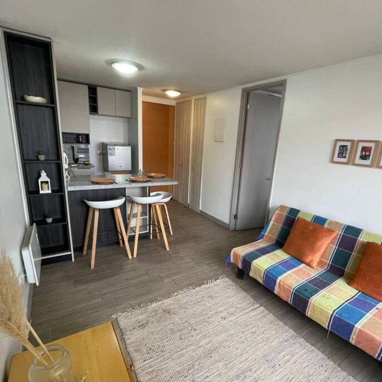 Departamento Renovado Cercano a Parque O'Higgins - One-Bedroom Apartment - 1