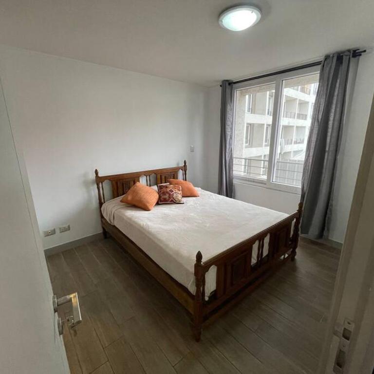 Departamento Renovado Cercano a Parque O'Higgins - One-Bedroom Apartment - 3