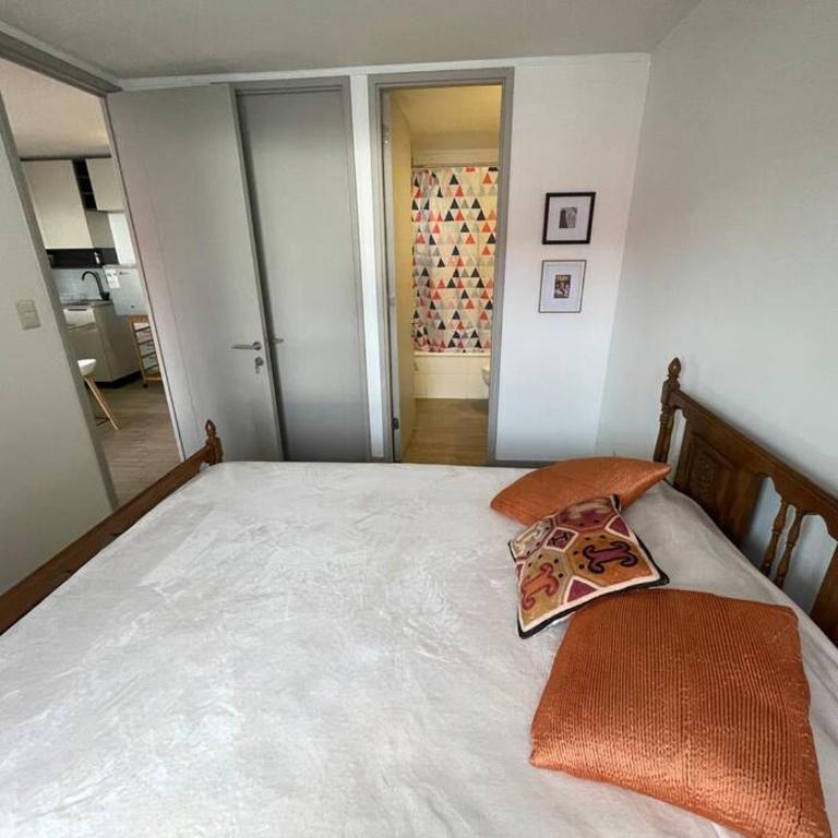 Departamento Renovado Cercano a Parque O'Higgins - One-Bedroom Apartment - 4