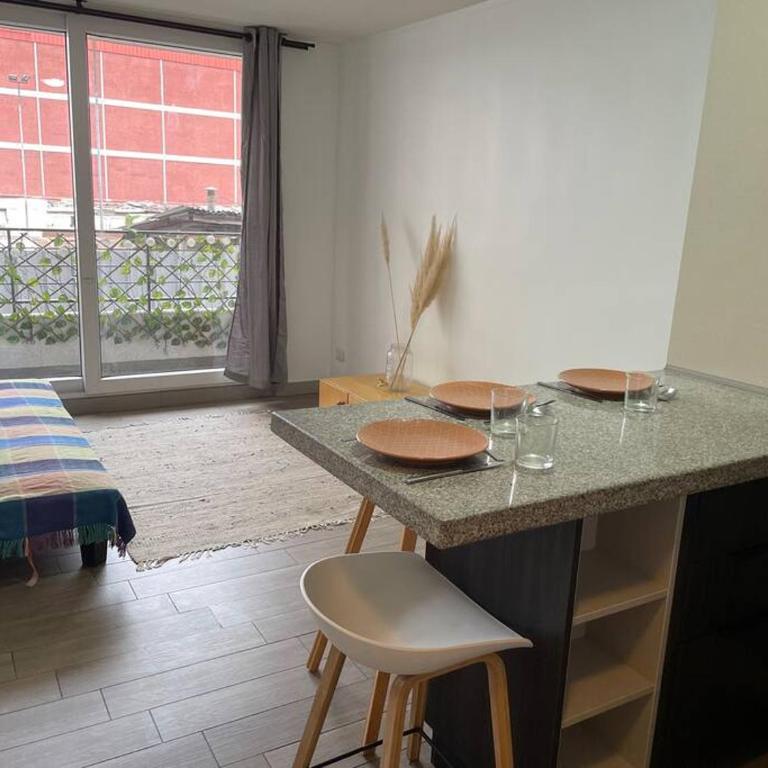Departamento Renovado Cercano a Parque O'Higgins - One-Bedroom Apartment - 10
