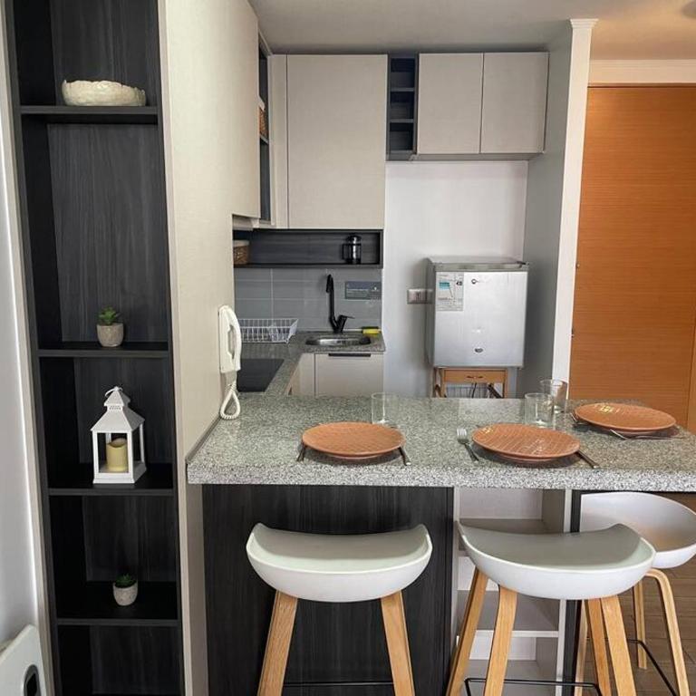 Departamento Renovado Cercano a Parque O'Higgins - One-Bedroom Apartment - 11