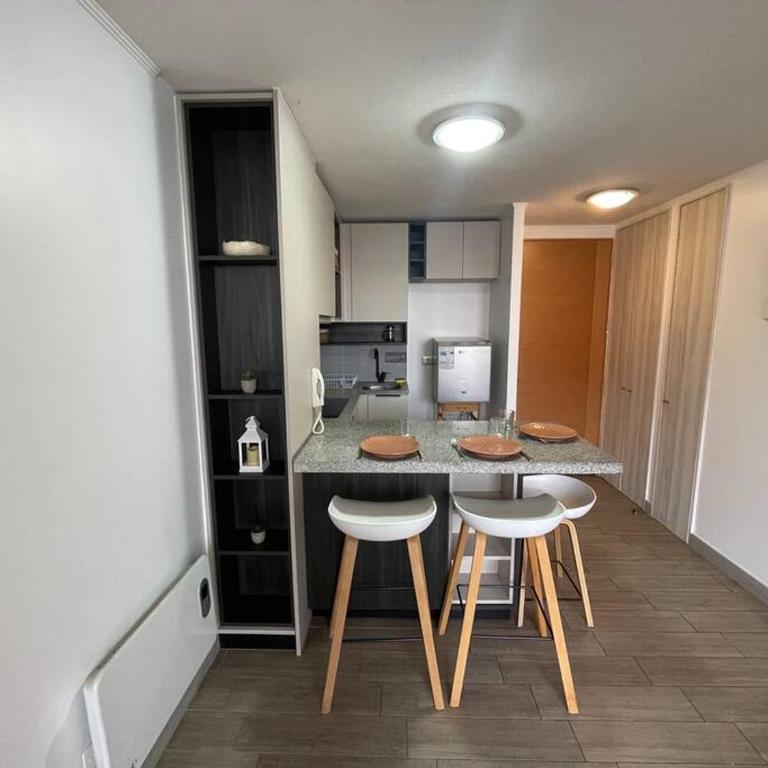 Departamento Renovado Cercano a Parque O'Higgins - One-Bedroom Apartment - 14