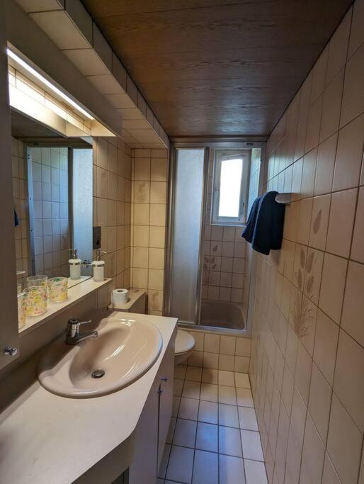 Tiroler Wohnung mit Bergblick - Apartamento de 1 dormitorio - 13