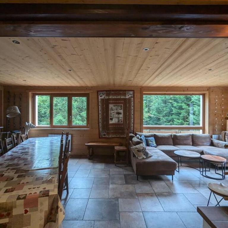 Chalet des Belles Roches, 14 pers, garden, sauna - Chalet - 9