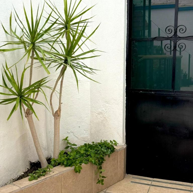 Hotel Boutique Casa Miranda - Double Room with Two Double Beds - 1