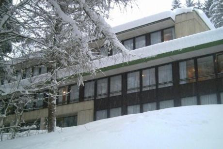 Appartamento Amba 39 - Appartamento con Vista Montagna - 26