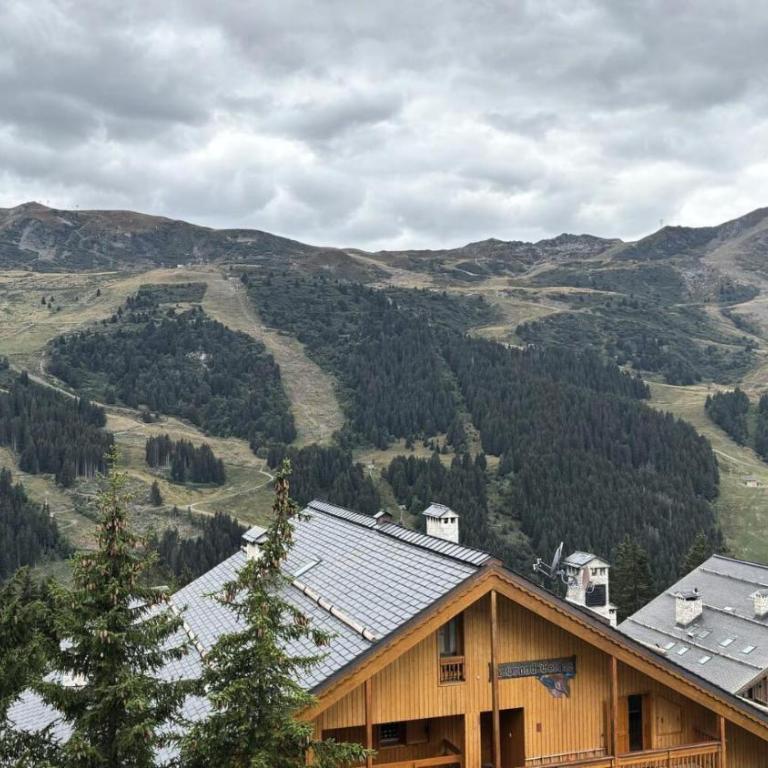 Résidence Les Myosotis - Très bel appartement 4 pièces 8 personnes situé sur Méribel quartier du Belvédère, proche des pistes MAE-0571 - Appartement - 12