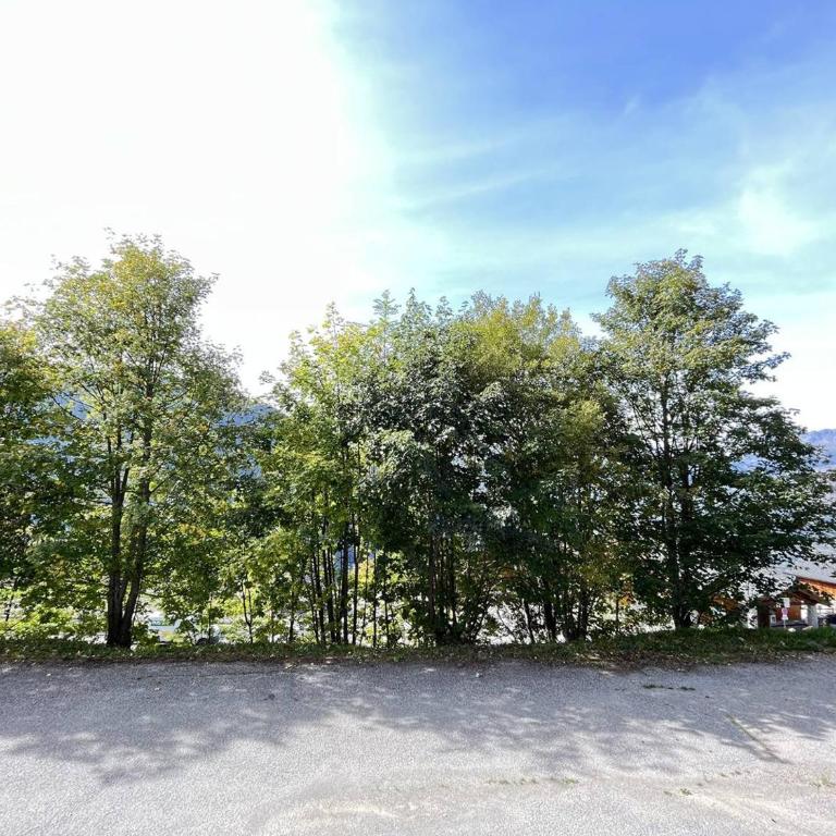 Appartement 3 pièces pour 6 personnes à Plan Peisey, accès direct pistes - FR-1-757-121 - Apartment - 7
