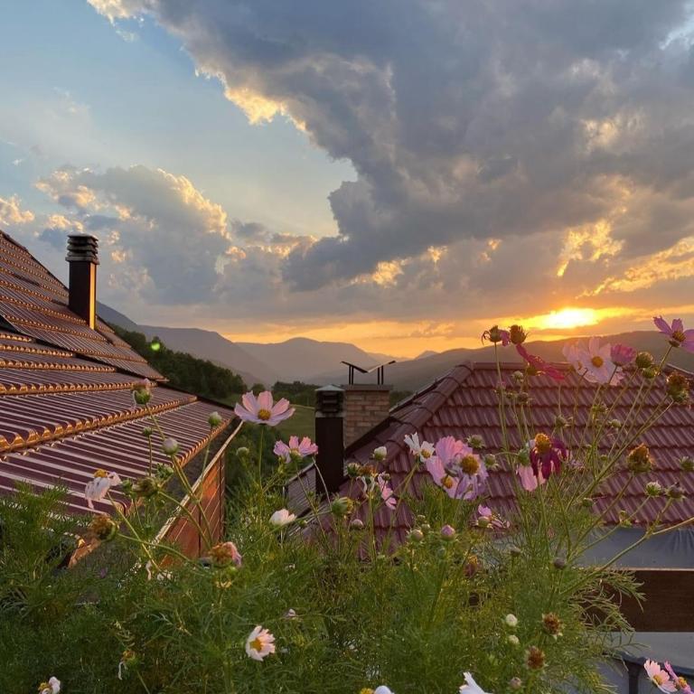 Kuća za odmor Andrea - Kuća sa 2 Spavaće Sobe - 65