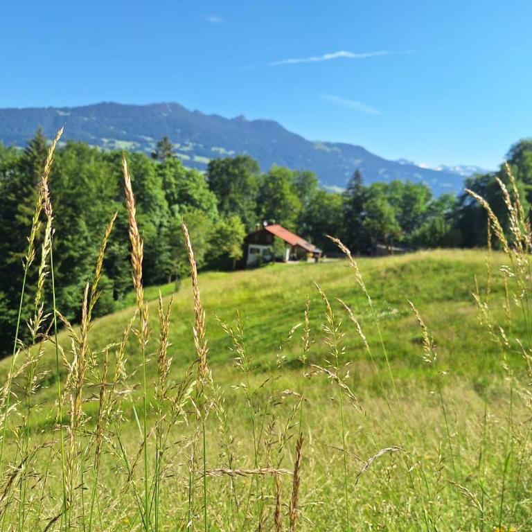 Bergmomente Montafon Ferienhaus Bitschweil - Ferienhaus - 37