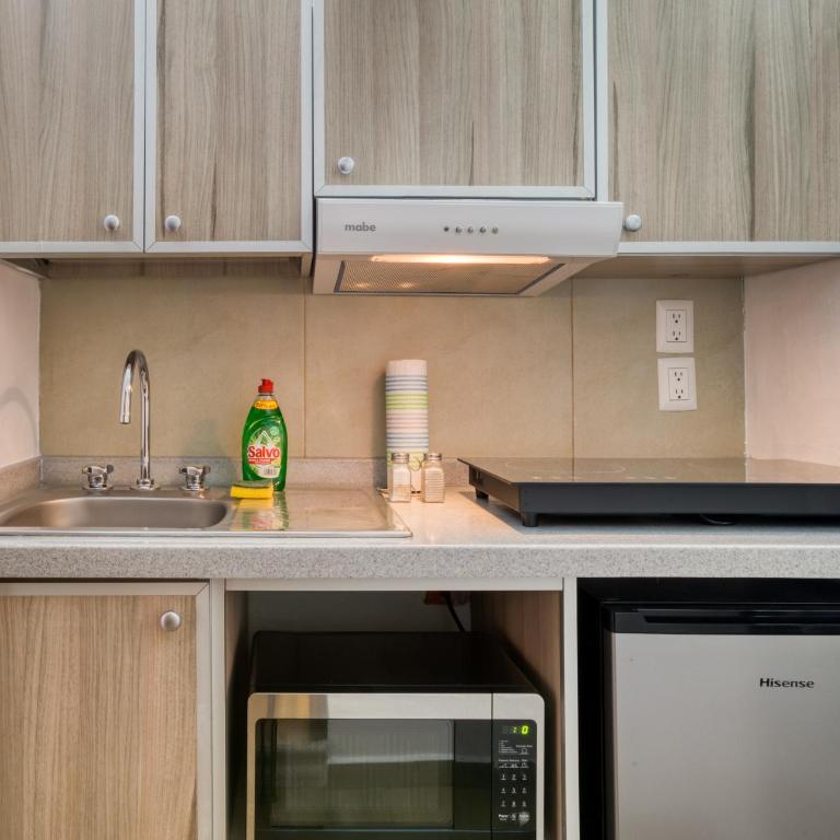 Tokio Ciento Diez - One-Bedroom Apartment - 11