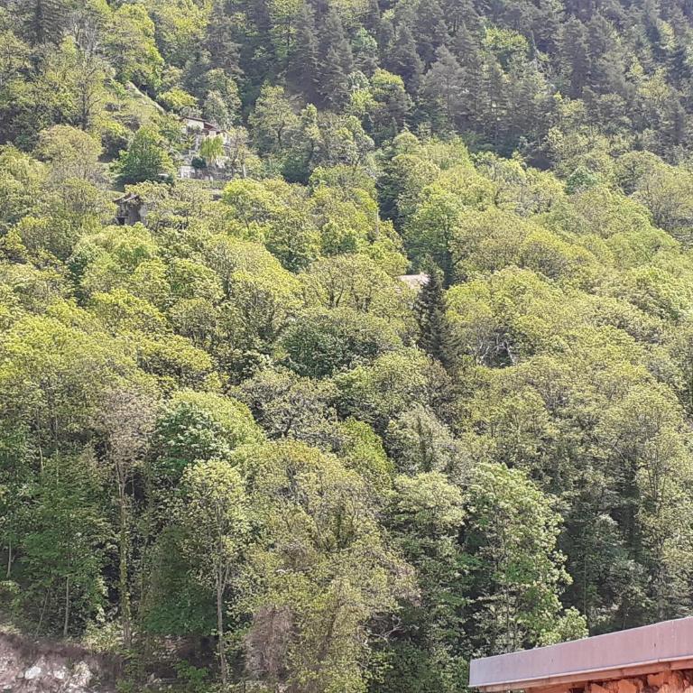 location meublé touristique - Studio - Vue sur Montagne - 29