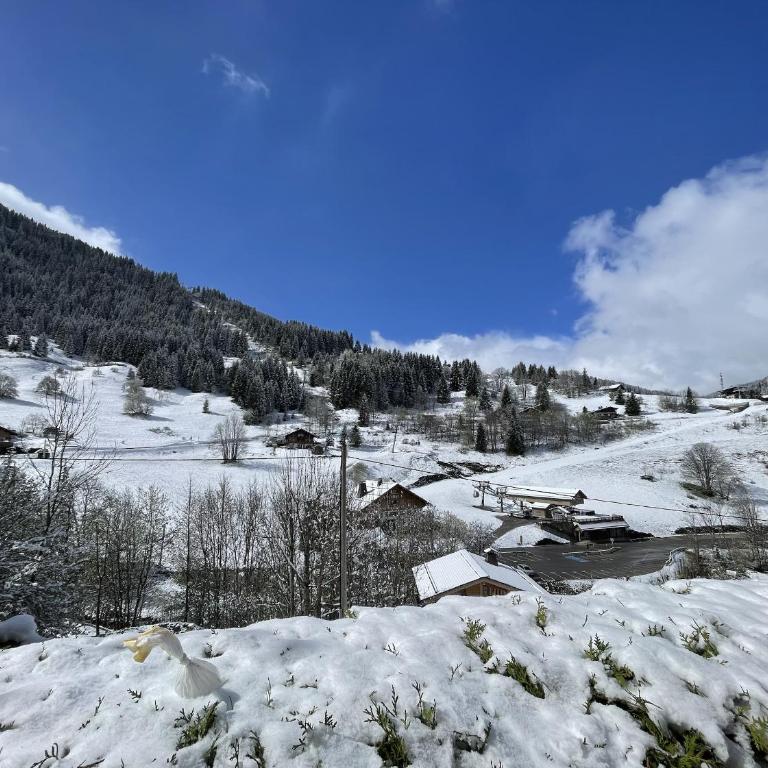 LCZ Dolce - Un Cocon à La Clusaz - Apartment mit 2 Schlafzimmern - 39