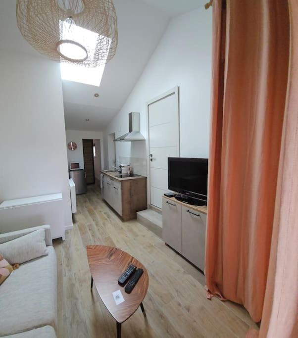 logement avec cuisine et jardinet proche lac - Appartement 1 Chambre - 9