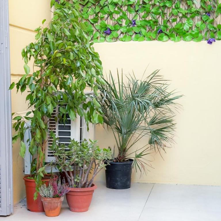 Central Studio - Bright & Modern - Private Terrace - AirCon - Near Train & Beach - Appartement 1 Chambre - 15