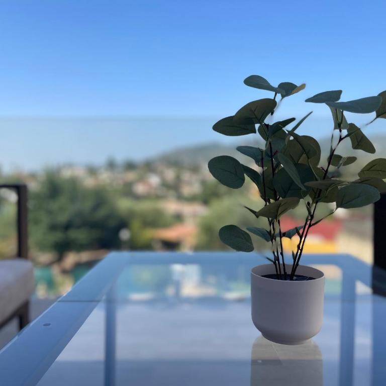 Mirador del Calasancio 5 - Apartamento de 2 dormitorios - 3