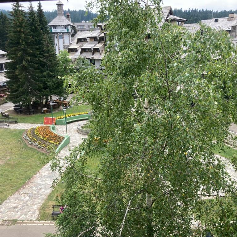 Ski centar konaci Kopaonik - Apartman sa Pogledom na Planinu - 3