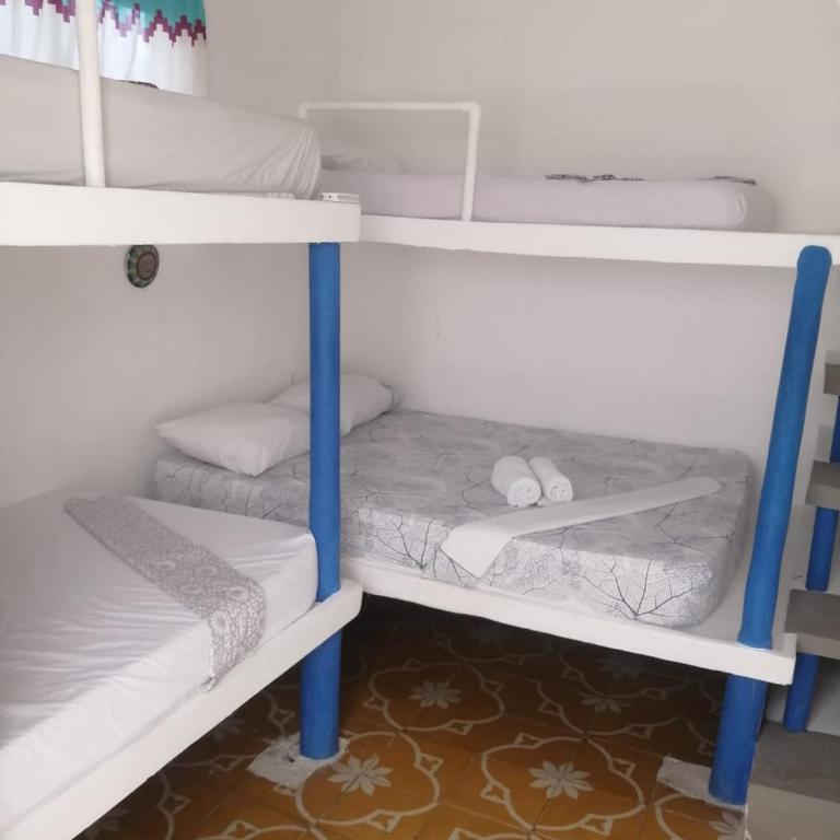 Hotel Playa Tiburón - Quadruple Room - 1