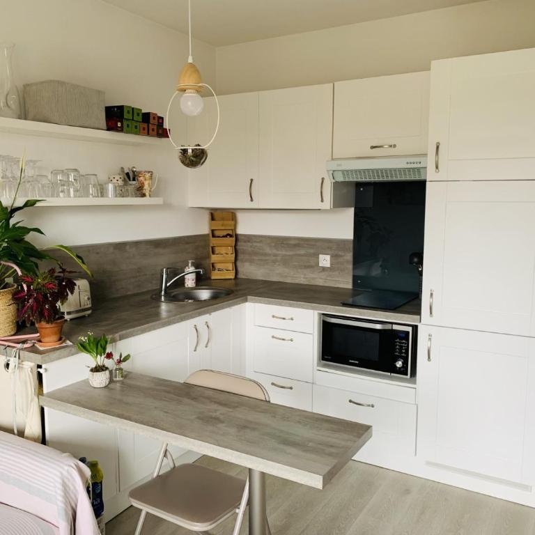 Charmant T2 a 500 m du port avec parking privé - Apartamento de 1 dormitorio - 1