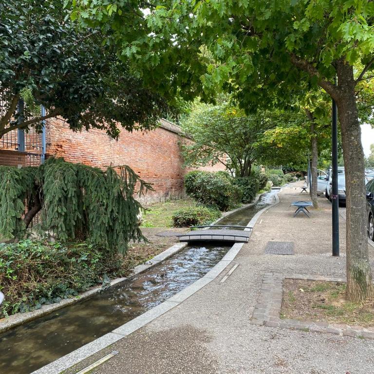 Meublé classé Carmes , entrée autonome, wifi, climatisé, petit parking privé - Studio-Apartment - 23