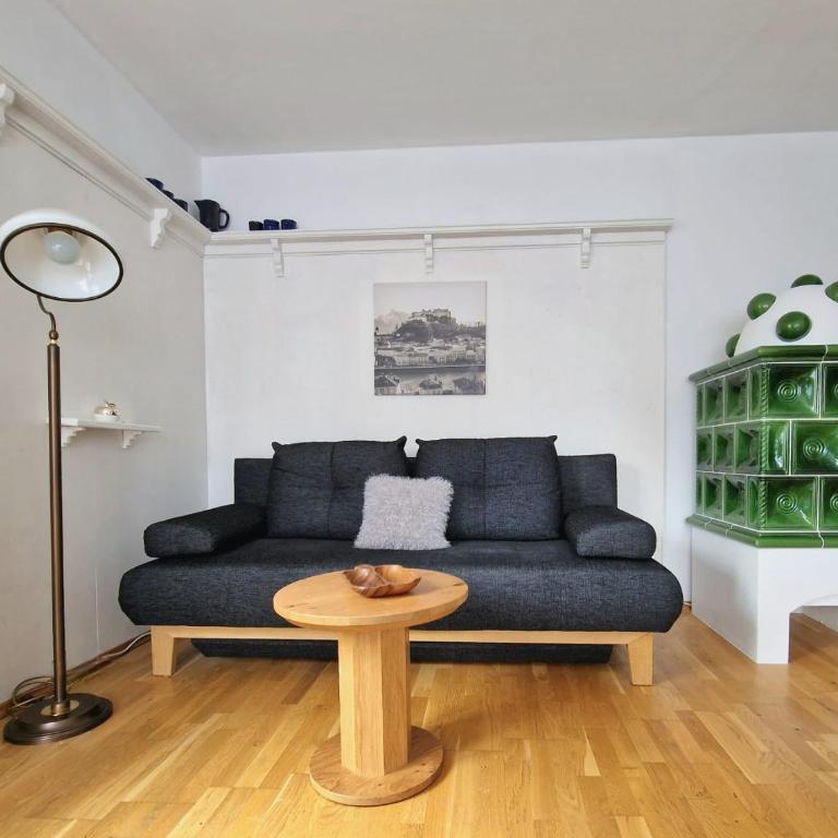 Aberseehaus Nussbaumer - Apartment - Erdgeschoss - 8