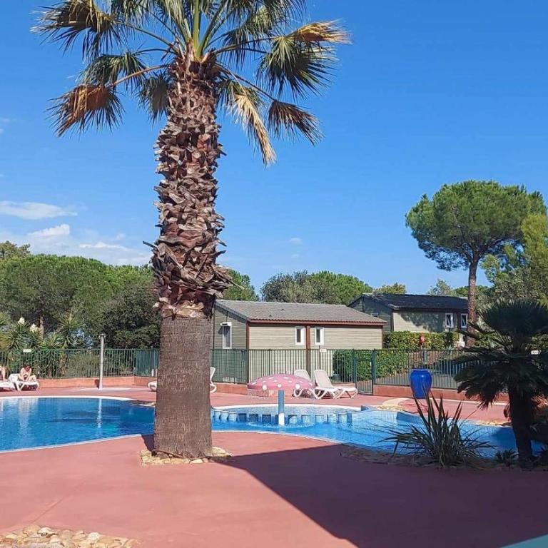 Chalet familial entre les pins - Chalet 2 Chambres - 31
