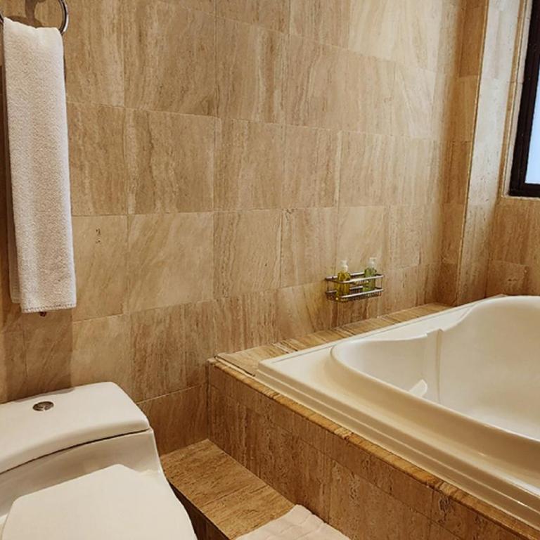 Bogota Plaza Hotel - Suite con bañera - No fumadores - Cama extragrande - 9