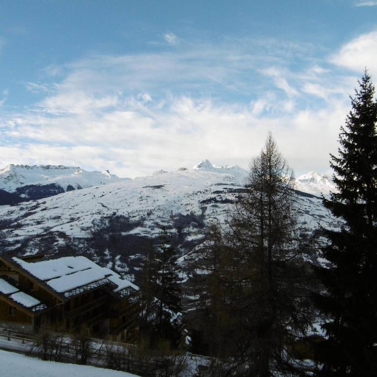 Studio cabine calme à La Plagne, 3 pers, animaux admis - Studio - 10