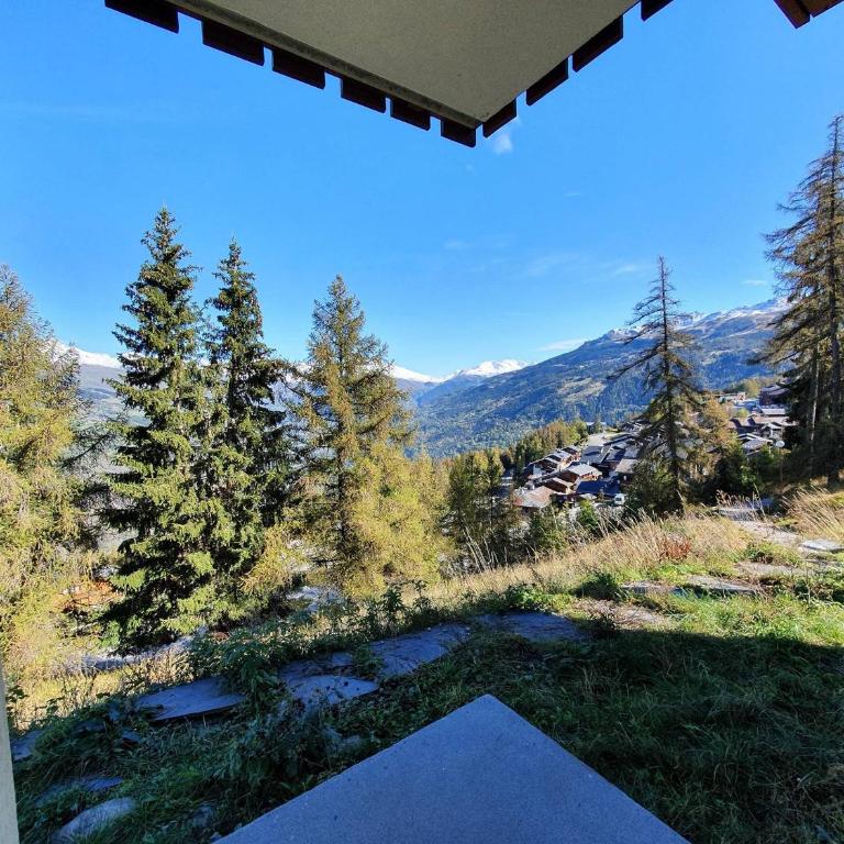 Studio cabine calme à La Plagne, 3 pers, animaux admis - Studio - 11