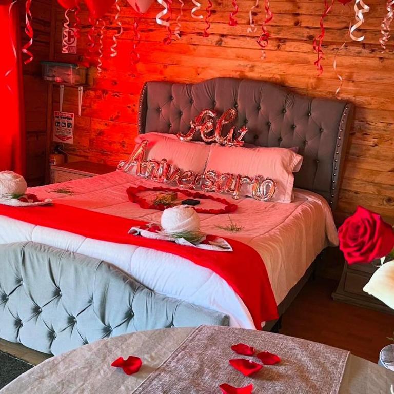 El Alpino Cabaña Glamping & Camping - Casa de campo - 15