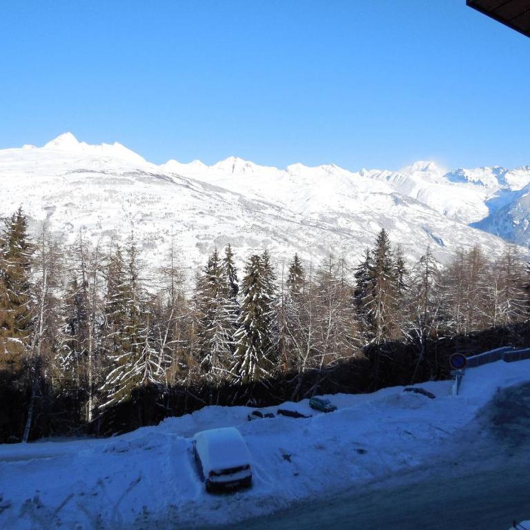 Studio divisible pour 4 personnes, centre station, animaux admis - Studio - 11