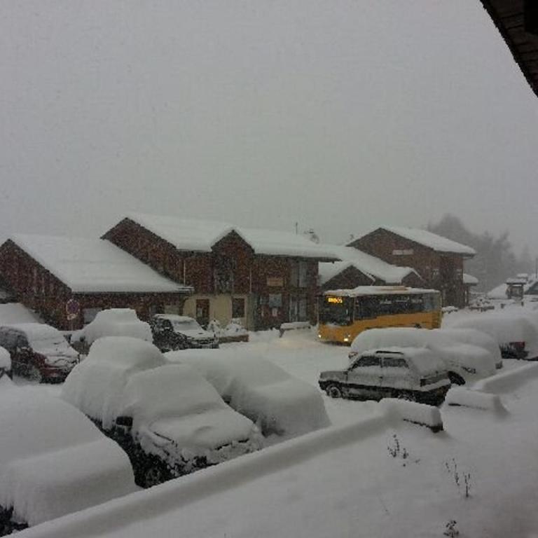 Studio 2 étoiles pour 4 pers. avec animaux admis à La Plagne - Estudio - 10