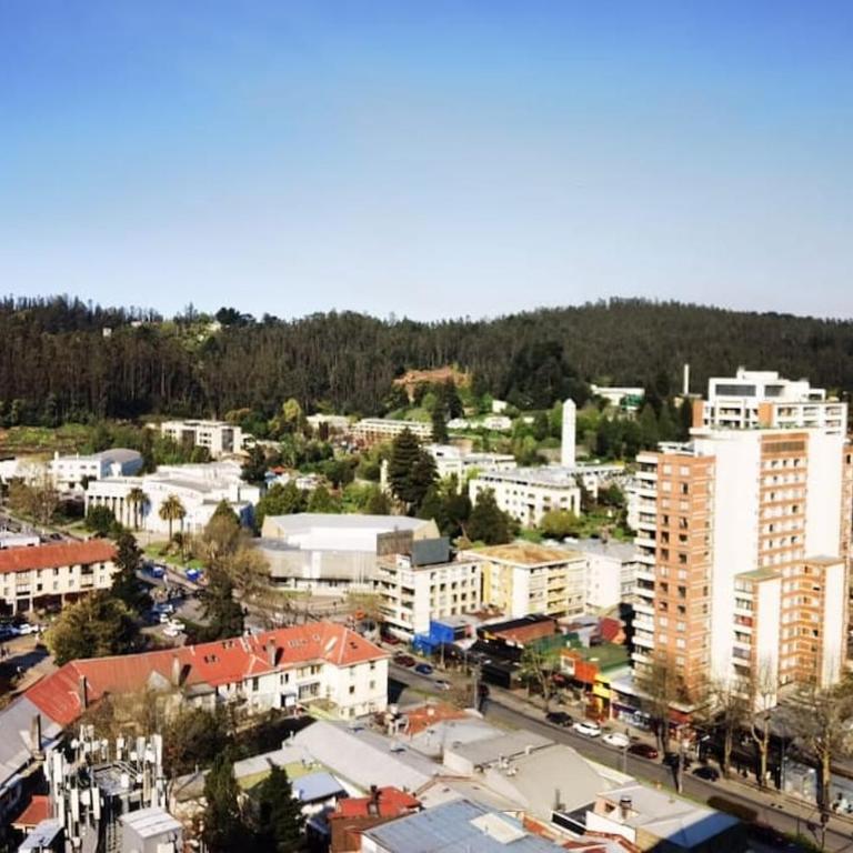 Depto con la mejor vista a la ciudad de Concepción - One-Bedroom Apartment - 10