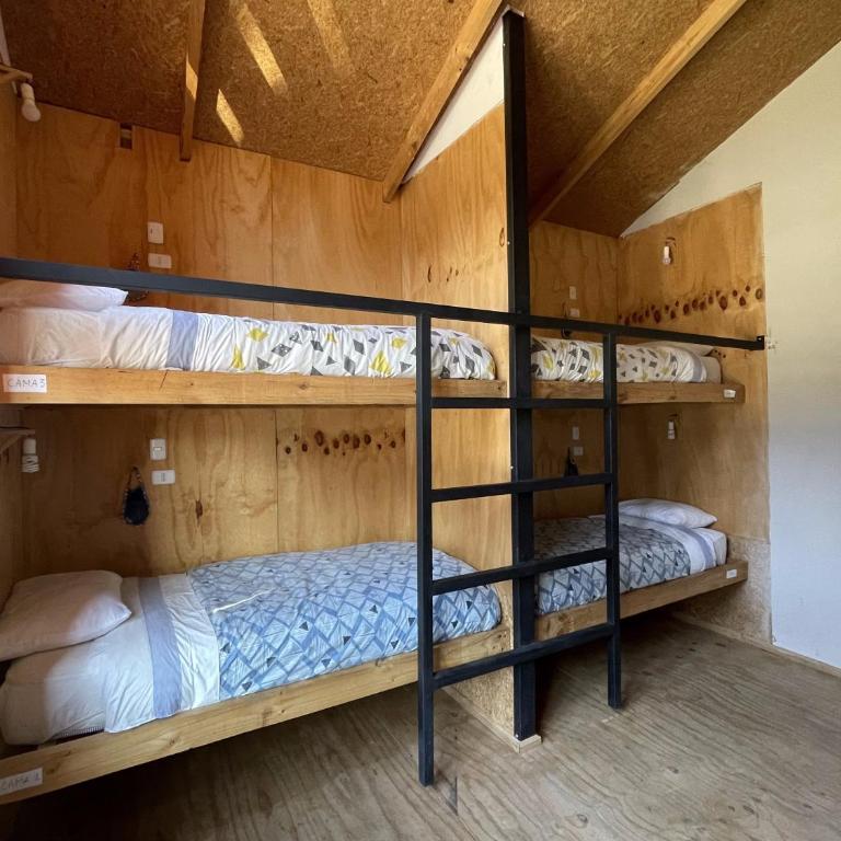 Mirlo’s hostel - Bed in 4-Bed Mixed Dormitory Room - 6