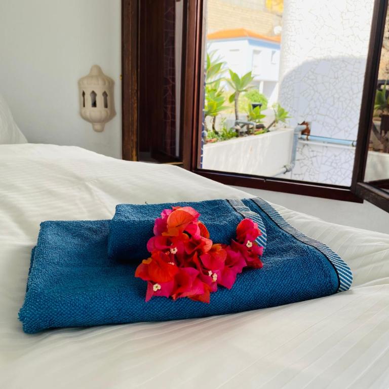 Apartamento Atlantico - Apartamento de 1 dormitorio - 65
