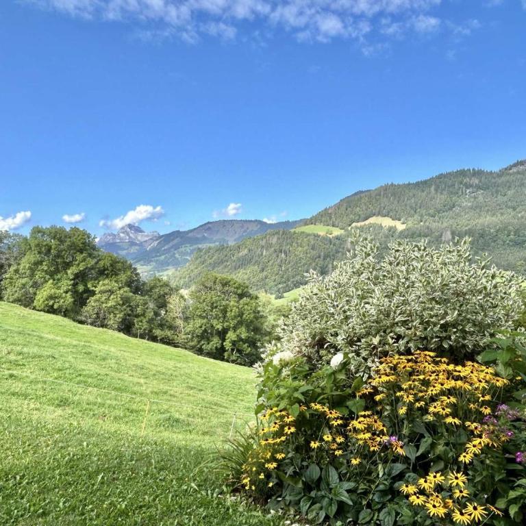 Appartement 4 pièces + cabine - 8 couchages avec jardin et terrasse - Megève - FR-1-597-22 - Appartement (6 Adultes) - 20