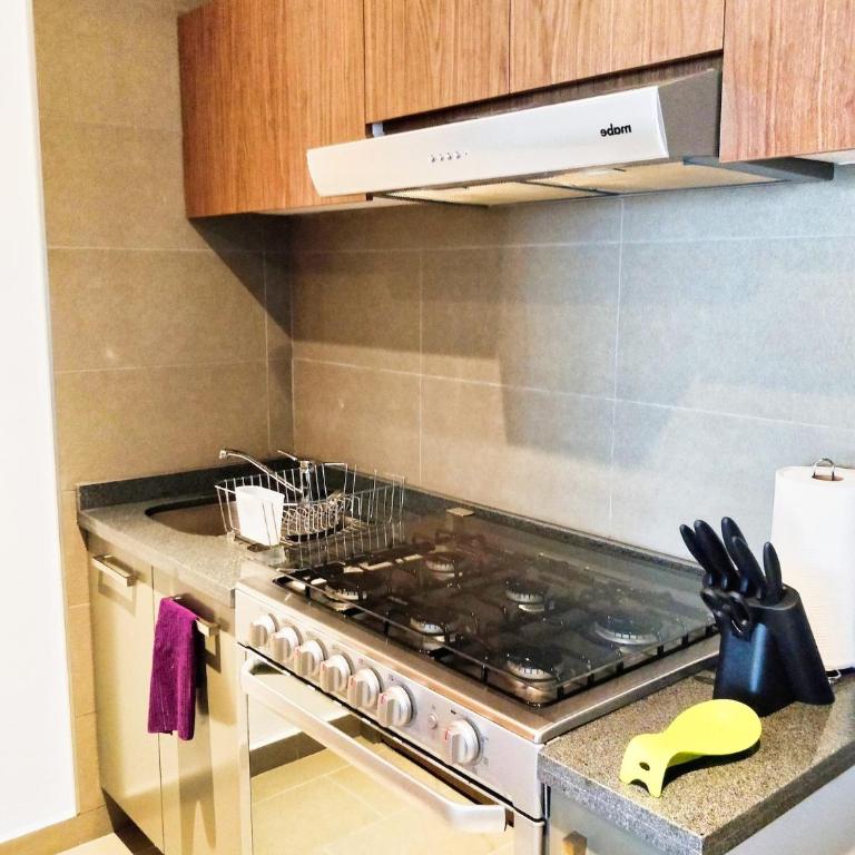 FIFA World Cup Two Beautiful 1 BR apts, HS WiFi! - Deluxe Apartment - 3