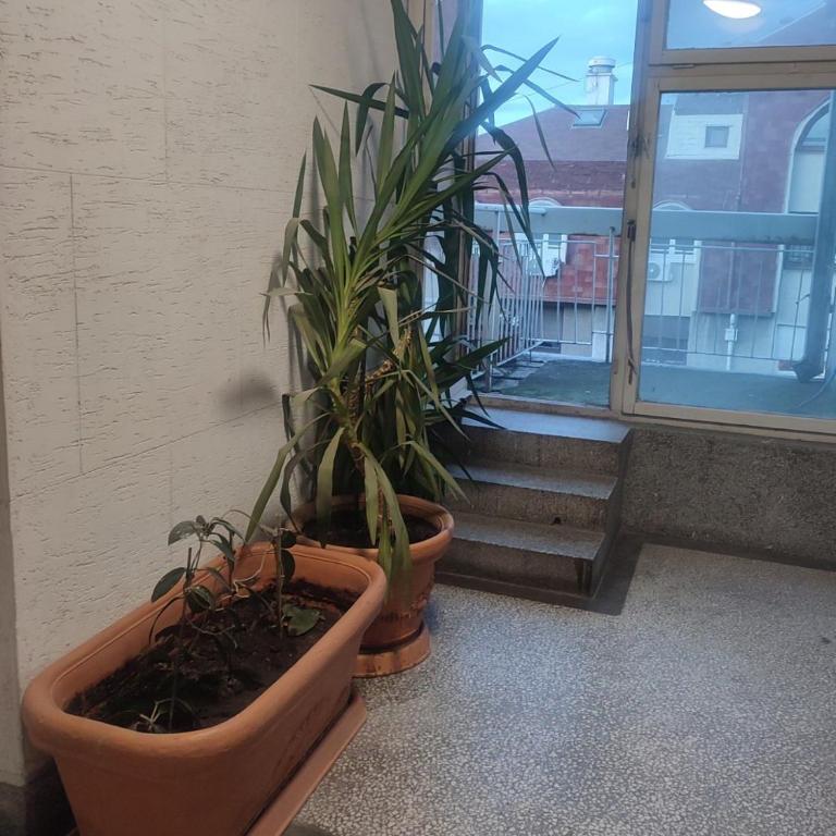 Blue Sparrow, city center studio - Studio - 53