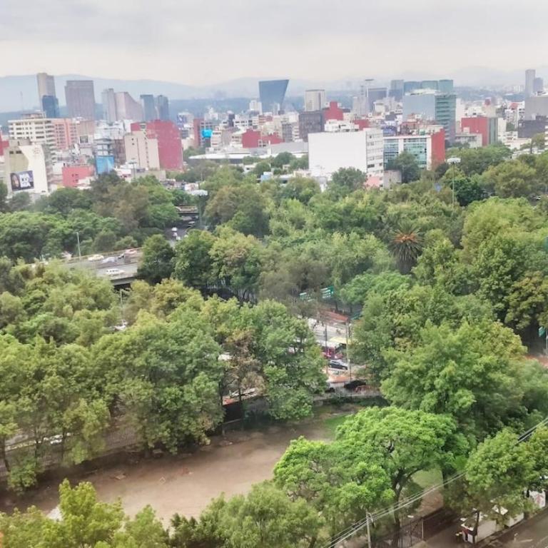 FIFA World Cup Luxury Polanco Views Indoor Pool - Apartamento de 1 dormitorio - 34
