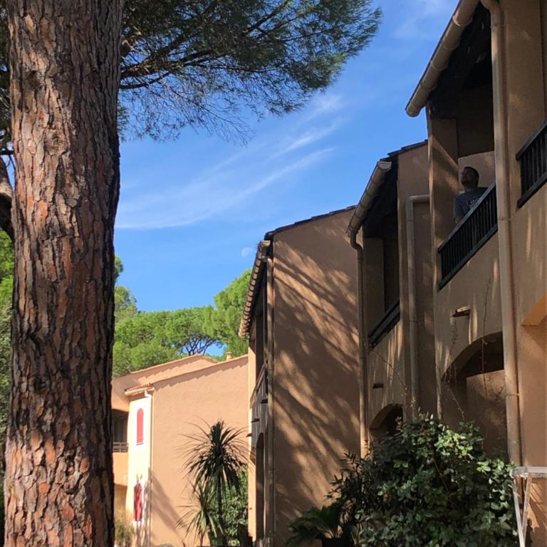 Domaine de Valescure - Apartment mit 1 Schlafzimmer - 22