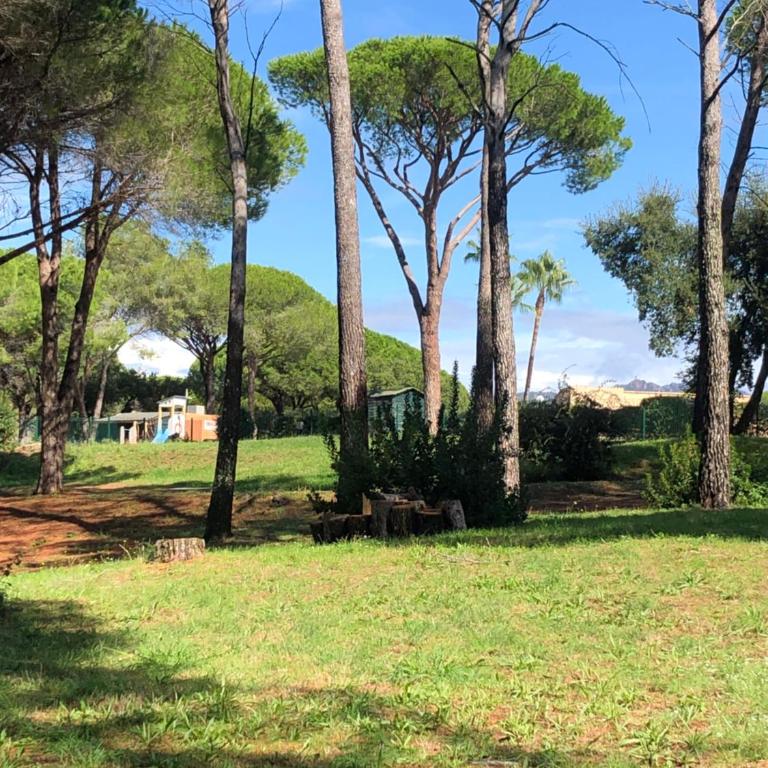 Domaine de Valescure - Apartment mit 1 Schlafzimmer - 24